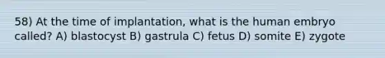 58) At the time of implantation, what is the human embryo called? A) blastocyst B) gastrula C) fetus D) somite E) zygote