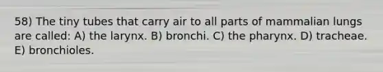 58) The tiny tubes that carry air to all parts of mammalian lungs are called: A) the larynx. B) bronchi. C) the pharynx. D) tracheae. E) bronchioles.