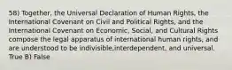 58) Together, the Universal Declaration of Human Rights, the International Covenant on Civil and Political Rights, and the International Covenant on Economic, Social, and Cultural Rights compose the legal apparatus of international human rights, and are understood to be indivisible,interdependent, and universal. True B) False