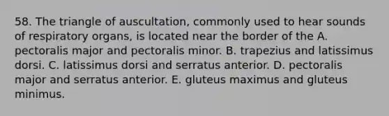 58. The triangle of auscultation, commonly used to hear sounds of respiratory organs, is located near the border of the A. pectoralis major and pectoralis minor. B. trapezius and latissimus dorsi. C. latissimus dorsi and serratus anterior. D. pectoralis major and serratus anterior. E. gluteus maximus and gluteus minimus.