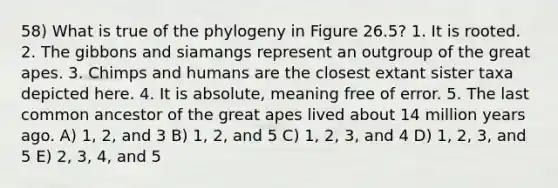 58) What is true of the phylogeny in Figure 26.5? 1. It is rooted. 2. The gibbons and siamangs represent an outgroup of the great apes. 3. Chimps and humans are the closest extant sister taxa depicted here. 4. It is absolute, meaning free of error. 5. The last common ancestor of the great apes lived about 14 million years ago. A) 1, 2, and 3 B) 1, 2, and 5 C) 1, 2, 3, and 4 D) 1, 2, 3, and 5 E) 2, 3, 4, and 5