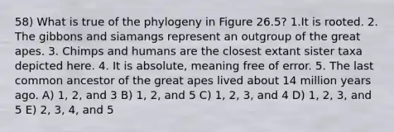 58) What is true of the phylogeny in Figure 26.5? 1.It is rooted. 2. The gibbons and siamangs represent an outgroup of the great apes. 3. Chimps and humans are the closest extant sister taxa depicted here. 4. It is absolute, meaning free of error. 5. The last common ancestor of the great apes lived about 14 million years ago. A) 1, 2, and 3 B) 1, 2, and 5 C) 1, 2, 3, and 4 D) 1, 2, 3, and 5 E) 2, 3, 4, and 5