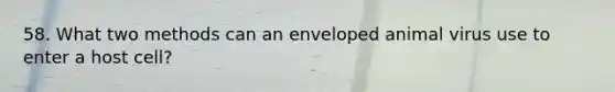 58. What two methods can an enveloped animal virus use to enter a host cell?