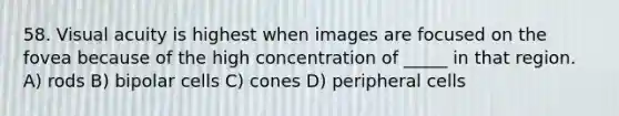 58. Visual acuity is highest when images are focused on the fovea because of the high concentration of _____ in that region. A) rods B) bipolar cells C) cones D) peripheral cells