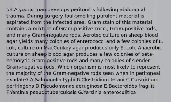 58.A young man develops peritonitis following abdominal trauma. During surgery foul-smelling purulent material is aspirated from the infected area. Gram stain of this material contains a mixture of Gram-positive cocci, Gram-positive rods, and many Gram-negative rods. Aerobic culture on sheep blood agar yields many colonies of enterococci and a few colonies of E. coli; culture on MacConkey agar produces only E. coli. Anaerobic culture on sheep blood agar produces a few colonies of beta-hemolytic Gram-positive rods and many colonies of slender Gram-negative rods. Which organism is most likely to represent the majority of the Gram-negative rods seen when in peritoneal exudate? A.Salmonella typhi B.Clostridium tetani C.Clostridium perfringens D.Pseudomonas aeruginosa E.Bacteroides fragilis F.Yersinia pseudotuberculosis G.Yersinia enterocolitica