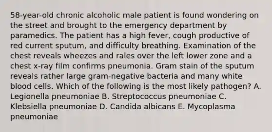 58-year-old chronic alcoholic male patient is found wondering on the street and brought to the emergency department by paramedics. The patient has a high fever, cough productive of red current sputum, and difficulty breathing. Examination of the chest reveals wheezes and rales over the left lower zone and a chest x-ray film confirms pneumonia. Gram stain of the sputum reveals rather large gram-negative bacteria and many white blood cells. Which of the following is the most likely pathogen? A. Legionella pneumoniae B. Streptococcus pneumoniae C. Klebsiella pneumoniae D. Candida albicans E. Mycoplasma pneumoniae