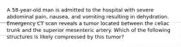 A 58-year-old man is admitted to the hospital with severe abdominal pain, nausea, and vomiting resulting in dehydration. Emergency CT scan reveals a tumor located between the celiac trunk and the superior mesenteric artery. Which of the following structures is likely compressed by this tumor?