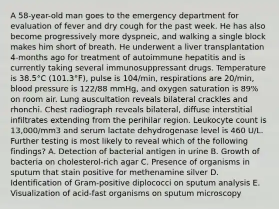 A 58-year-old man goes to the emergency department for evaluation of fever and dry cough for the past week. He has also become progressively more dyspneic, and walking a single block makes him short of breath. He underwent a liver transplantation 4-months ago for treatment of autoimmune hepatitis and is currently taking several immunosuppressant drugs. Temperature is 38.5°C (101.3°F), pulse is 104/min, respirations are 20/min, blood pressure is 122/88 mmHg, and oxygen saturation is 89% on room air. Lung auscultation reveals bilateral crackles and rhonchi. Chest radiograph reveals bilateral, diffuse interstitial infiltrates extending from the perihilar region. Leukocyte count is 13,000/mm3 and serum lactate dehydrogenase level is 460 U/L. Further testing is most likely to reveal which of the following findings? A. Detection of bacterial antigen in urine B. Growth of bacteria on cholesterol-rich agar C. Presence of organisms in sputum that stain positive for methenamine silver D. Identification of Gram-positive diplococci on sputum analysis E. Visualization of acid-fast organisms on sputum microscopy