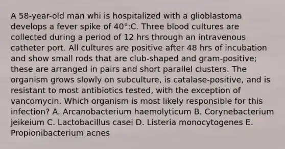 A 58-year-old man whi is hospitalized with a glioblastoma develops a fever spike of 40°:C. Three blood cultures are collected during a period of 12 hrs through an intravenous catheter port. All cultures are positive after 48 hrs of incubation and show small rods that are club-shaped and gram-positive; these are arranged in pairs and short parallel clusters. The organism grows slowly on subculture, is catalase-positive, and is resistant to most antibiotics tested, with the exception of vancomycin. Which organism is most likely responsible for this infection? A. Arcanobacterium haemolyticum B. Corynebacterium jeikeium C. Lactobacillus casei D. Listeria monocytogenes E. Propionibacterium acnes