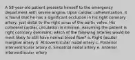 A 58-year-old patient presents himself to the emergency department with severe angina. Upon cardiac catheterization, it is found that he has a significant occlusion in his right coronary artery, just distal to the right sinus of the aortic valve. His collateral cardiac circulation is minimal. Assuming the patient is right coronary dominant, which of the following arteries would be most likely to still have normal blood flow? a. Right (acute) marginal artery b. Atrioventricular nodal artery c. Posterior interventricular artery d. Sinoatrial nodal artery e. Anterior interventricular artery