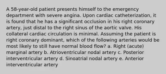 A 58-year-old patient presents himself to the emergency department with severe angina. Upon cardiac catheterization, it is found that he has a significant occlusion in his right coronary artery, just distal to the right sinus of the aortic valve. His collateral cardiac circulation is minimal. Assuming the patient is right coronary dominant, which of the following arteries would be most likely to still have normal blood flow? a. Right (acute) marginal artery b. Atrioventricular nodal artery c. Posterior interventricular artery d. Sinoatrial nodal artery e. Anterior interventricular artery