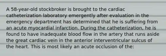 A 58-year-old stockbroker is brought to the cardiac catheterization laboratory emergently after evaluation in the emergency department has determined that he is suffering from an acute myocardial infarction. During the catheterization, he is found to have inadequate blood flow in the artery that runs aside the great cardiac vein in the anterior interventricular sulcus of the heart. This is most likely an acute occlusion of the: