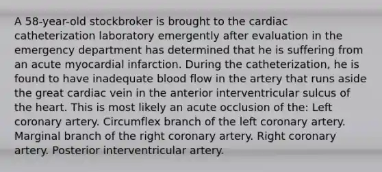 A 58-year-old stockbroker is brought to the cardiac catheterization laboratory emergently after evaluation in the emergency department has determined that he is suffering from an acute myocardial infarction. During the catheterization, he is found to have inadequate blood flow in the artery that runs aside the great cardiac vein in the anterior interventricular sulcus of the heart. This is most likely an acute occlusion of the: Left coronary artery. Circumflex branch of the left coronary artery. Marginal branch of the right coronary artery. Right coronary artery. Posterior interventricular artery.