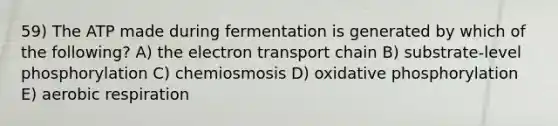 59) The ATP made during fermentation is generated by which of the following? A) the electron transport chain B) substrate-level phosphorylation C) chemiosmosis D) oxidative phosphorylation E) aerobic respiration