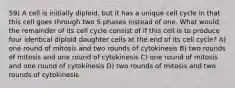 59) A cell is initially diploid, but it has a unique cell cycle in that this cell goes through two S phases instead of one. What would the remainder of its cell cycle consist of if this cell is to produce four identical diploid daughter cells at the end of its cell cycle? A) one round of mitosis and two rounds of cytokinesis B) two rounds of mitosis and one round of cytokinesis C) one round of mitosis and one round of cytokinesis D) two rounds of mitosis and two rounds of cytokinesis