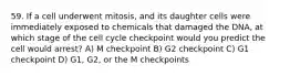 59. If a cell underwent mitosis, and its daughter cells were immediately exposed to chemicals that damaged the DNA, at which stage of the cell cycle checkpoint would you predict the cell would arrest? A) M checkpoint B) G2 checkpoint C) G1 checkpoint D) G1, G2, or the M checkpoints