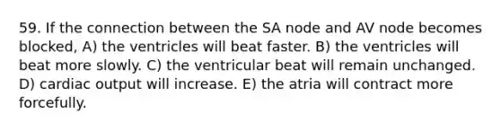 59. If the connection between the SA node and AV node becomes blocked, A) the ventricles will beat faster. B) the ventricles will beat more slowly. C) the ventricular beat will remain unchanged. D) cardiac output will increase. E) the atria will contract more forcefully.