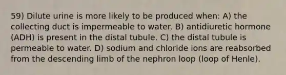 59) Dilute urine is more likely to be produced when: A) the collecting duct is impermeable to water. B) antidiuretic hormone (ADH) is present in the distal tubule. C) the distal tubule is permeable to water. D) sodium and chloride ions are reabsorbed from the descending limb of the nephron loop (loop of Henle).