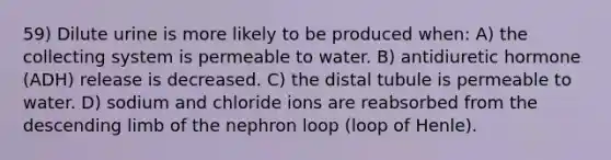 59) Dilute urine is more likely to be produced when: A) the collecting system is permeable to water. B) antidiuretic hormone (ADH) release is decreased. C) the distal tubule is permeable to water. D) sodium and chloride ions are reabsorbed from the descending limb of the nephron loop (loop of Henle).