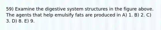 59) Examine the digestive system structures in the figure above. The agents that help emulsify fats are produced in A) 1. B) 2. C) 3. D) 8. E) 9.