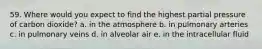 59. Where would you expect to find the highest partial pressure of carbon dioxide? a. in the atmosphere b. in pulmonary arteries c. in pulmonary veins d. in alveolar air e. in the intracellular fluid