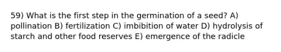 59) What is the first step in the germination of a seed? A) pollination B) fertilization C) imbibition of water D) hydrolysis of starch and other food reserves E) emergence of the radicle