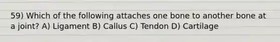 59) Which of the following attaches one bone to another bone at a joint? A) Ligament B) Callus C) Tendon D) Cartilage