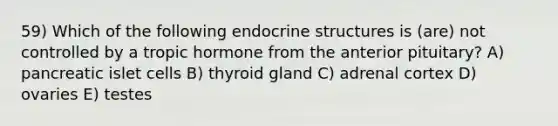 59) Which of the following endocrine structures is (are) not controlled by a tropic hormone from the anterior pituitary? A) pancreatic islet cells B) thyroid gland C) adrenal cortex D) ovaries E) testes