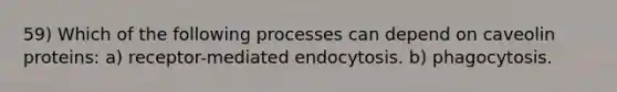 59) Which of the following processes can depend on caveolin proteins: a) receptor-mediated endocytosis. b) phagocytosis.