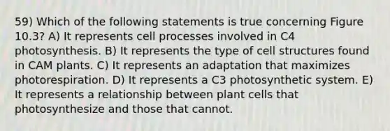 59) Which of the following statements is true concerning Figure 10.3? A) It represents cell processes involved in C4 photosynthesis. B) It represents the type of cell structures found in CAM plants. C) It represents an adaptation that maximizes photorespiration. D) It represents a C3 photosynthetic system. E) It represents a relationship between plant cells that photosynthesize and those that cannot.