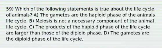 59) Which of the following statements is true about the life cycle of animals? A) The gametes are the haploid phase of the animals life cycle. B) Meiosis is not a necessary component of the animal life cycle. C) The products of the haploid phase of the life cycle are larger than those of the diploid phase. D) The gametes are the diploid phase of the life cycle.