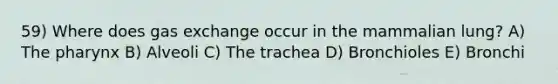 59) Where does <a href='https://www.questionai.com/knowledge/kU8LNOksTA-gas-exchange' class='anchor-knowledge'>gas exchange</a> occur in the mammalian lung? A) <a href='https://www.questionai.com/knowledge/ktW97n6hGJ-the-pharynx' class='anchor-knowledge'>the pharynx</a> B) Alveoli C) The trachea D) Bronchioles E) Bronchi