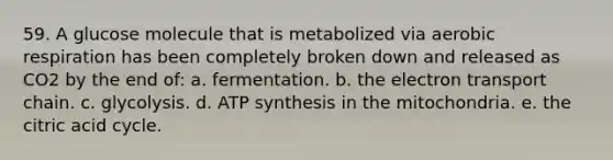 59. A glucose molecule that is metabolized via aerobic respiration has been completely broken down and released as CO2 by the end of: a. fermentation. b. <a href='https://www.questionai.com/knowledge/k57oGBr0HP-the-electron-transport-chain' class='anchor-knowledge'>the electron transport chain</a>. c. glycolysis. d. <a href='https://www.questionai.com/knowledge/kx3XpCJrFz-atp-synthesis' class='anchor-knowledge'>atp synthesis</a> in the mitochondria. e. the citric acid cycle.