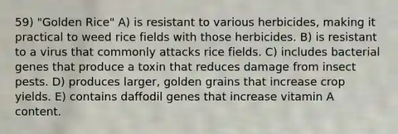 59) "Golden Rice" A) is resistant to various herbicides, making it practical to weed rice fields with those herbicides. B) is resistant to a virus that commonly attacks rice fields. C) includes bacterial genes that produce a toxin that reduces damage from insect pests. D) produces larger, golden grains that increase crop yields. E) contains daffodil genes that increase vitamin A content.