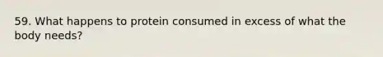 59. What happens to protein consumed in excess of what the body needs?