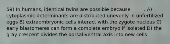 59) In humans, identical twins are possible because _____. A) cytoplasmic determinants are distributed unevenly in unfertilized eggs B) extraembryonic cells interact with the zygote nucleus C) early blastomeres can form a complete embryo if isolated D) the gray crescent divides the dorsal-ventral axis into new cells