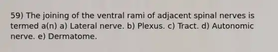 59) The joining of the ventral rami of adjacent <a href='https://www.questionai.com/knowledge/kyBL1dWgAx-spinal-nerves' class='anchor-knowledge'>spinal nerves</a> is termed a(n) a) Lateral nerve. b) Plexus. c) Tract. d) Autonomic nerve. e) Dermatome.