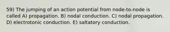 59) The jumping of an action potential from node-to-node is called A) propagation. B) nodal conduction. C) nodal propagation. D) electrotonic conduction. E) saltatory conduction.