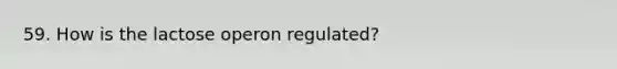 59. How is the lactose operon regulated?