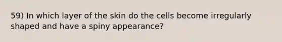 59) In which layer of the skin do the cells become irregularly shaped and have a spiny appearance?