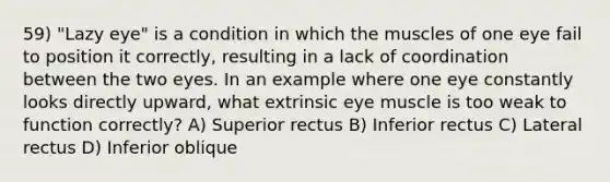59) "Lazy eye" is a condition in which the muscles of one eye fail to position it correctly, resulting in a lack of coordination between the two eyes. In an example where one eye constantly looks directly upward, what extrinsic eye muscle is too weak to function correctly? A) Superior rectus B) Inferior rectus C) Lateral rectus D) Inferior oblique