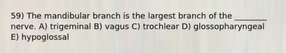 59) The mandibular branch is the largest branch of the ________ nerve. A) trigeminal B) vagus C) trochlear D) glossopharyngeal E) hypoglossal