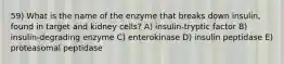 59) What is the name of the enzyme that breaks down insulin, found in target and kidney cells? A) insulin-tryptic factor B) insulin-degrading enzyme C) enterokinase D) insulin peptidase E) proteasomal peptidase