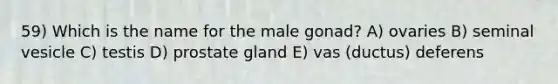 59) Which is the name for the male gonad? A) ovaries B) seminal vesicle C) testis D) prostate gland E) vas (ductus) deferens