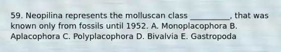 59. Neopilina represents the molluscan class __________, that was known only from fossils until 1952. A. Monoplacophora B. Aplacophora C. Polyplacophora D. Bivalvia E. Gastropoda