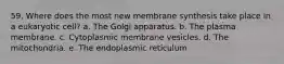 59. Where does the most new membrane synthesis take place in a eukaryotic cell? a. The Golgi apparatus. b. The plasma membrane. c. Cytoplasmic membrane vesicles. d. The mitochondria. e. The endoplasmic reticulum