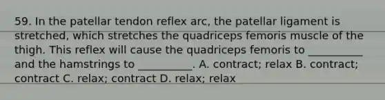 59. In the patellar tendon reflex arc, the patellar ligament is stretched, which stretches the quadriceps femoris muscle of the thigh. This reflex will cause the quadriceps femoris to __________ and the hamstrings to __________. A. contract; relax B. contract; contract C. relax; contract D. relax; relax