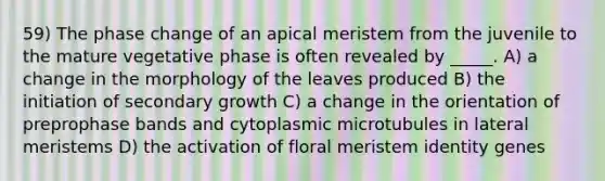 59) The phase change of an apical meristem from the juvenile to the mature vegetative phase is often revealed by _____. A) a change in the morphology of the leaves produced B) the initiation of secondary growth C) a change in the orientation of preprophase bands and cytoplasmic microtubules in lateral meristems D) the activation of floral meristem identity genes