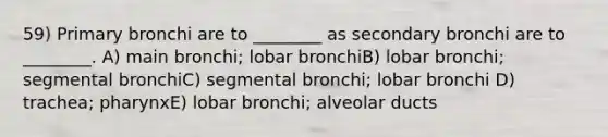 59) Primary bronchi are to ________ as secondary bronchi are to ________. A) main bronchi; lobar bronchiB) lobar bronchi; segmental bronchiC) segmental bronchi; lobar bronchi D) trachea; pharynxE) lobar bronchi; alveolar ducts