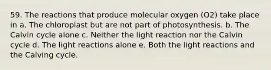 59. The reactions that produce molecular oxygen (O2) take place in a. The chloroplast but are not part of photosynthesis. b. The Calvin cycle alone c. Neither the light reaction nor the Calvin cycle d. The light reactions alone e. Both the light reactions and the Calving cycle.